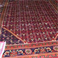 SCF2295 Mahal 334x250
